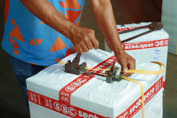Air Freight